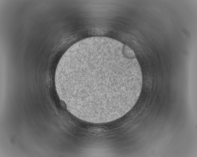 X0000111460743200908241319
