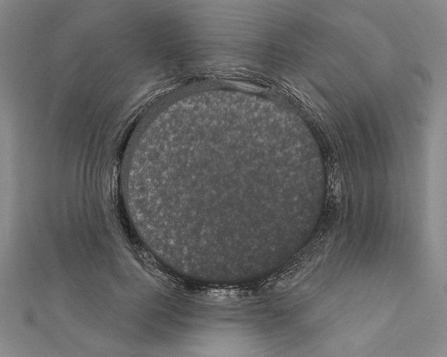 X0000111460744200908241319
