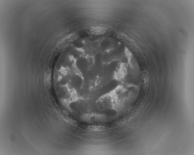 X0000111460745200908241319