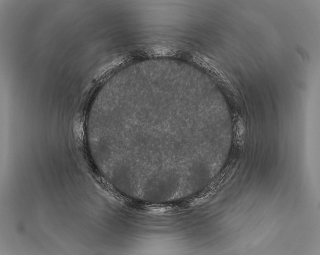 X0000111460746200908241319
