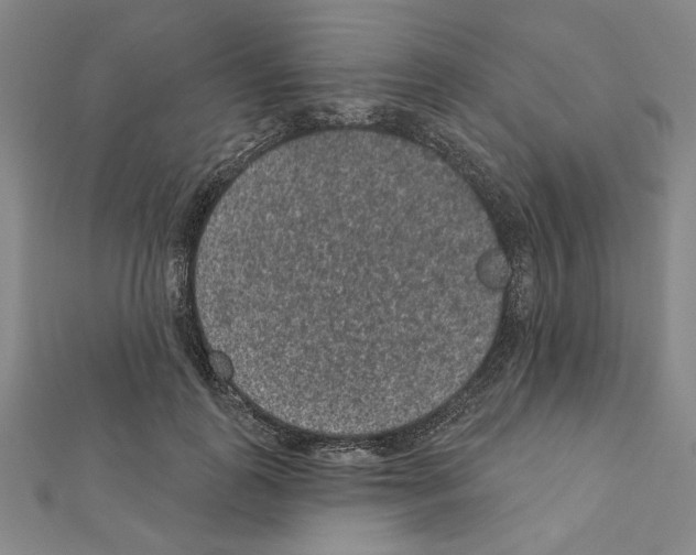 X0000111460747200908241319