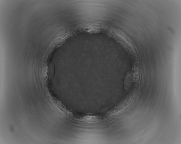 X0000111460748200908241319