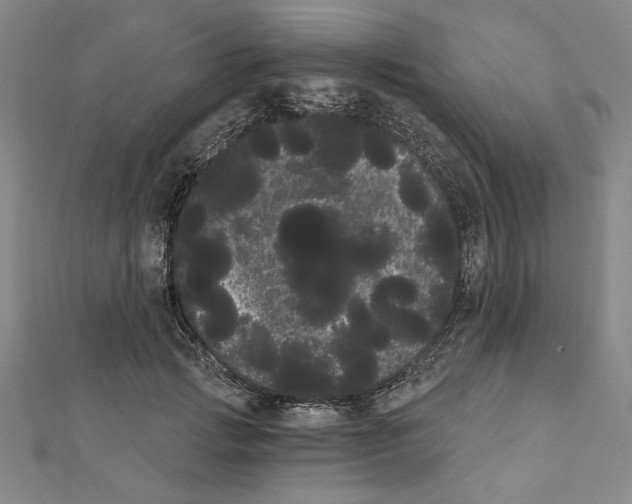 X0000111460749200908241319