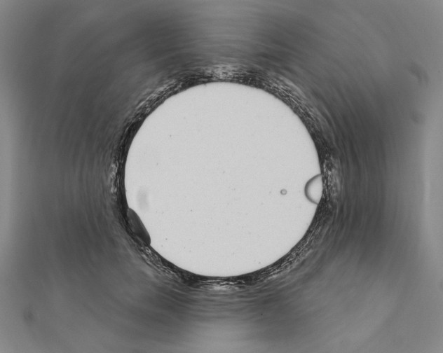 X0000111460750200908241319