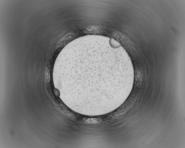 X0000111460751200908241319