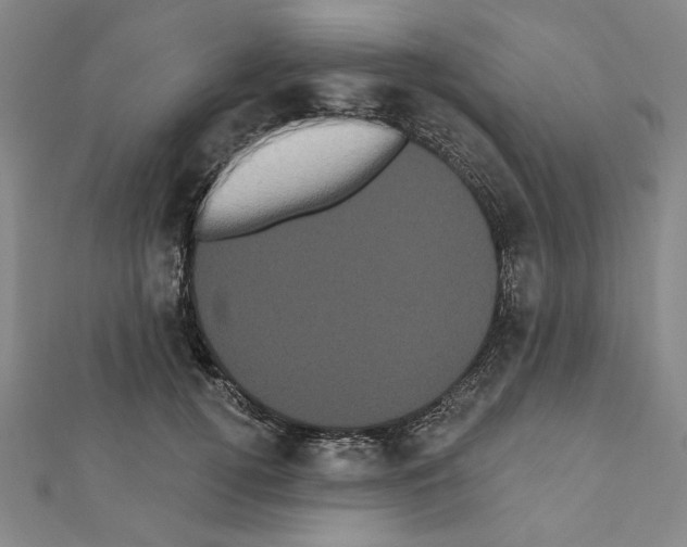 X0000111460752200908241319