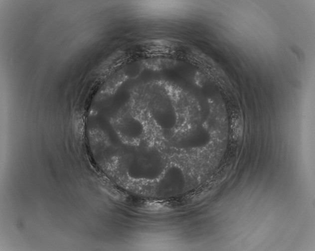 X0000111460753200908241319