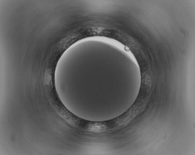 X0000111460754200908241319