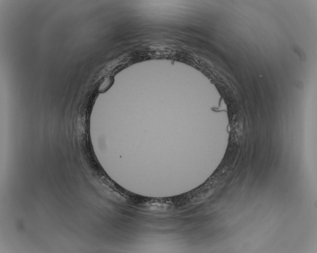 X0000111460756200908241319