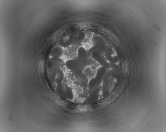 X0000111460757200908241319