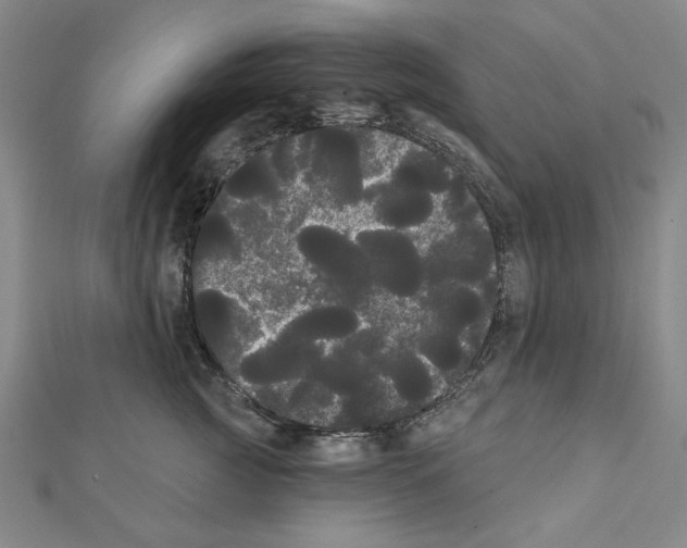 X0000111460761200908241319