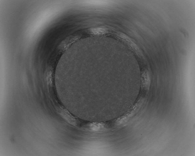 X0000111460762200908241319