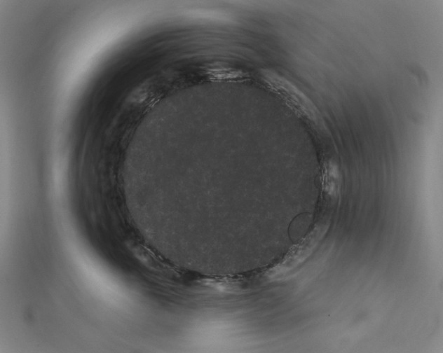 X0000111460763200908241319