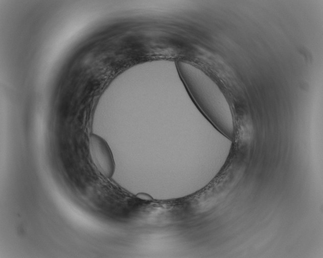 X0000111460764200908241319