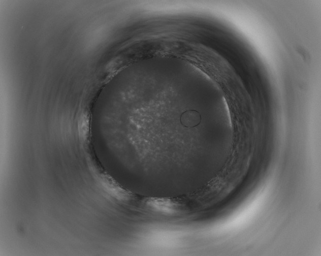 X0000111460767200908241319
