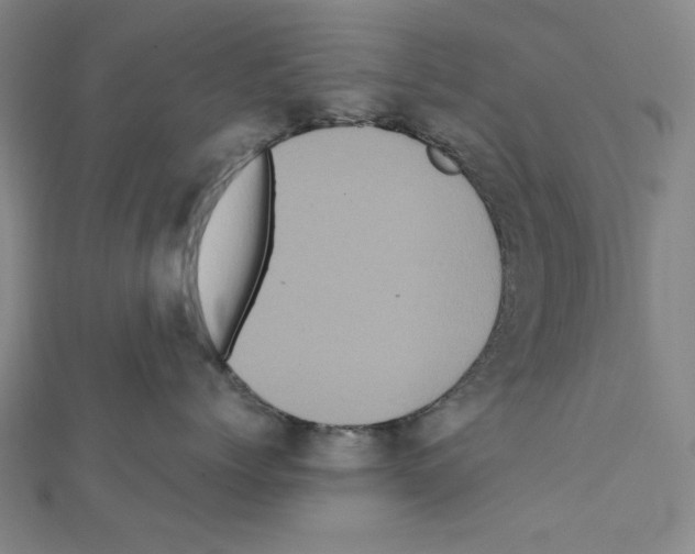 X0000111460768200908241319