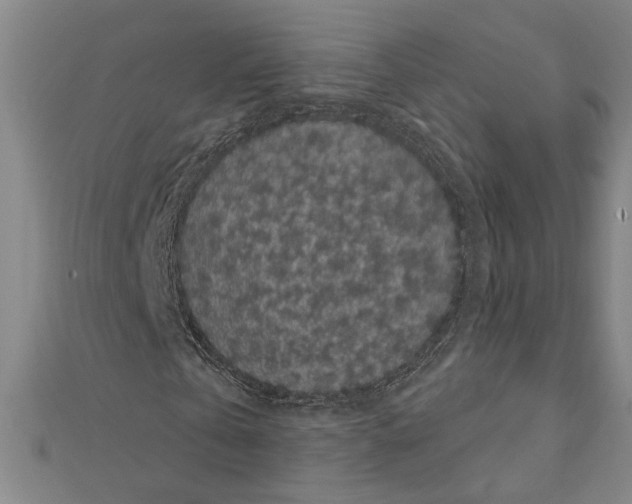 X0000111460769200908241319