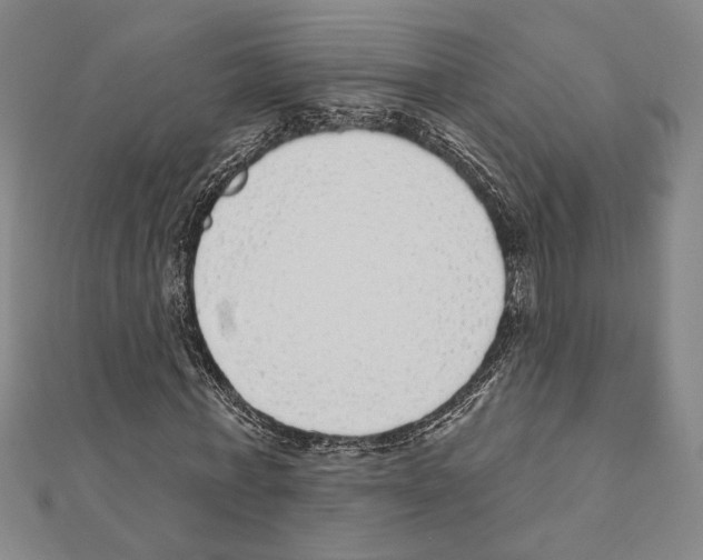 X0000111460771200908241319
