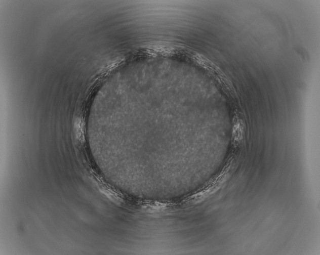 X0000111460772200908241319