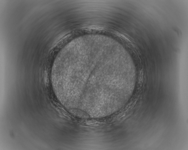 X0000111460774200908241319