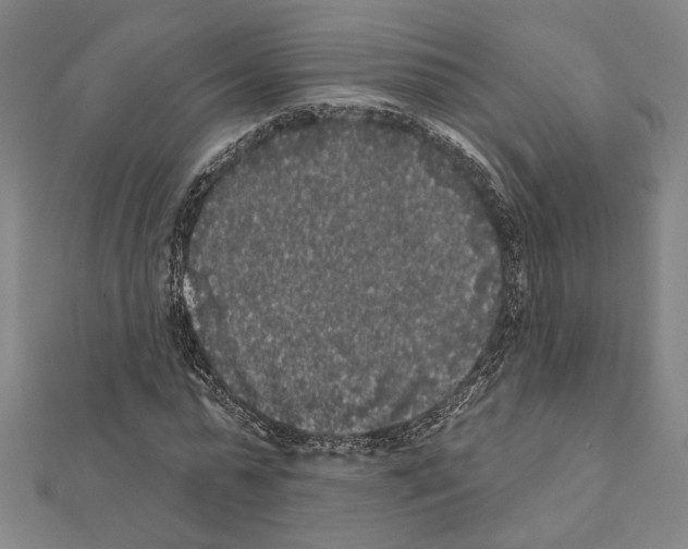 X0000111460775200908241318