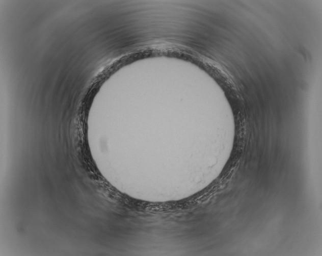 X0000111460776200908241318