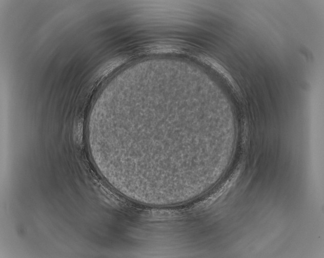 X0000111460777200908241318
