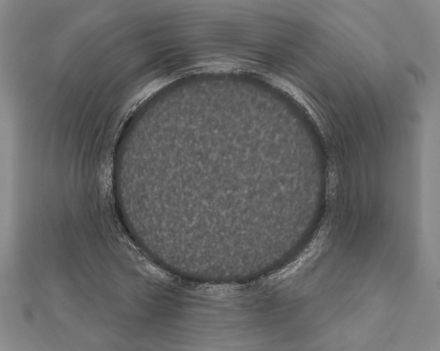 X0000111460778200908241318