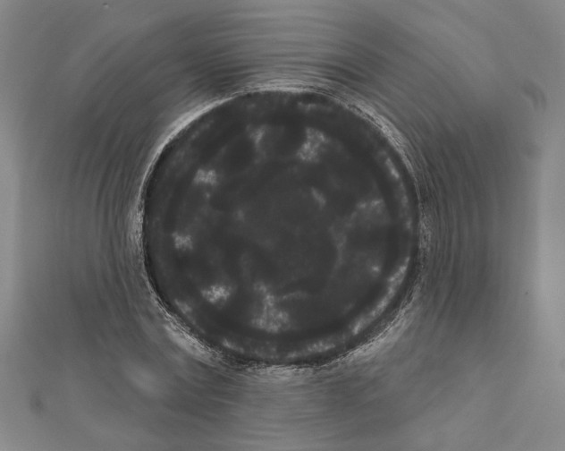 X0000111460779200908241318