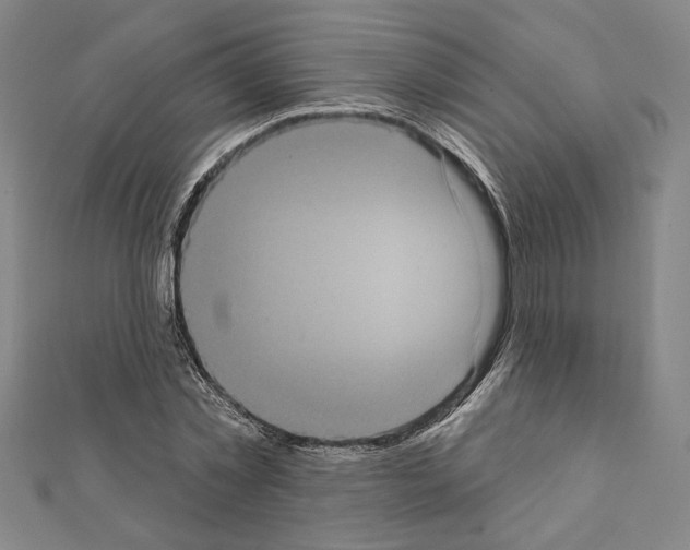 X0000111460781200908241318