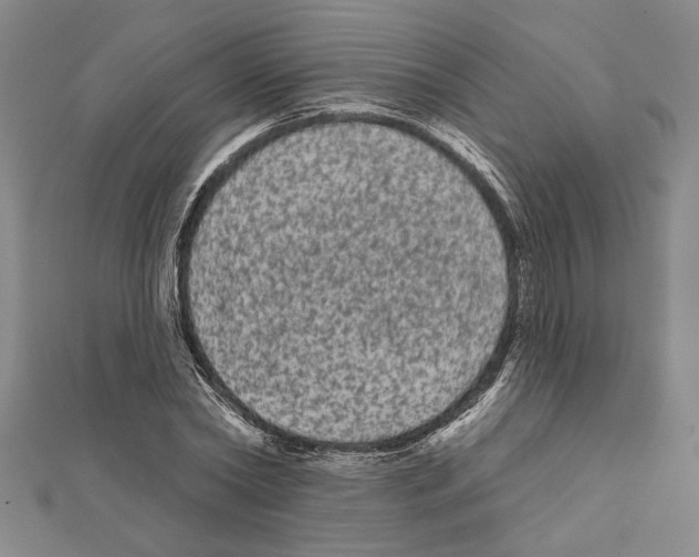X0000111460782200908241318