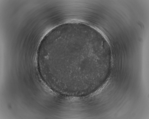 X0000111460783200908241318