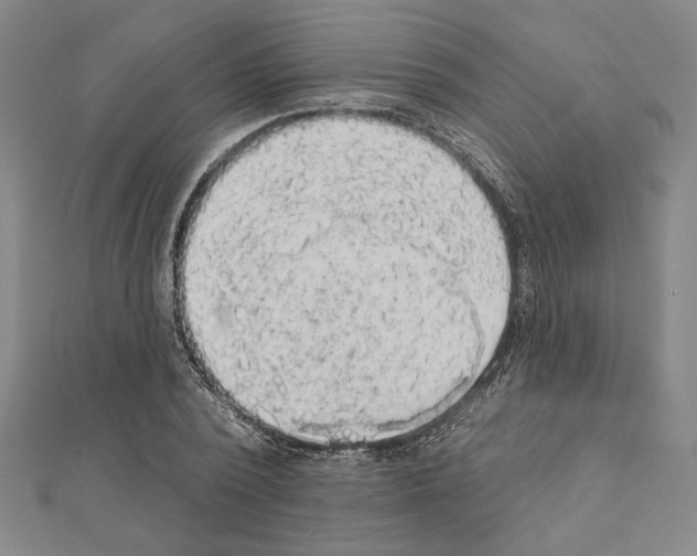 X0000111460784200908241318