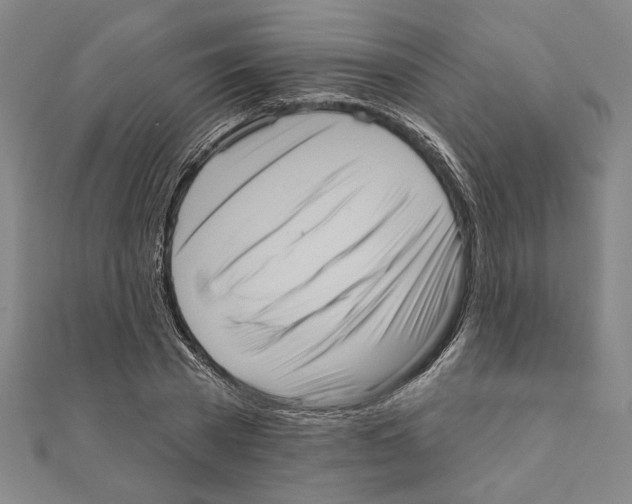 X0000111460785200908241318