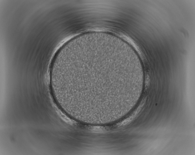 X0000111460787200908241318