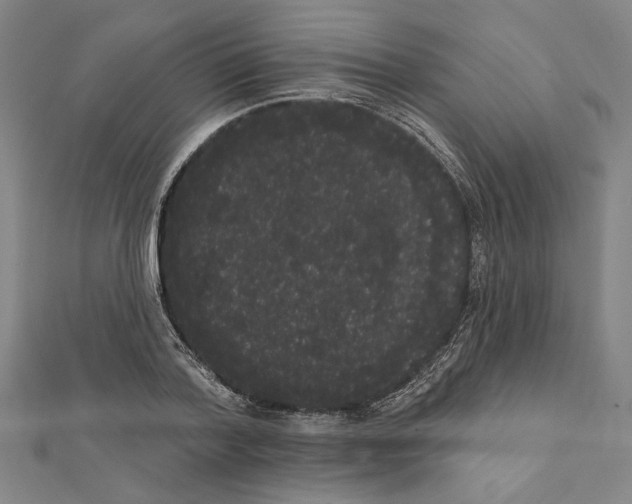 X0000111460788200908241318