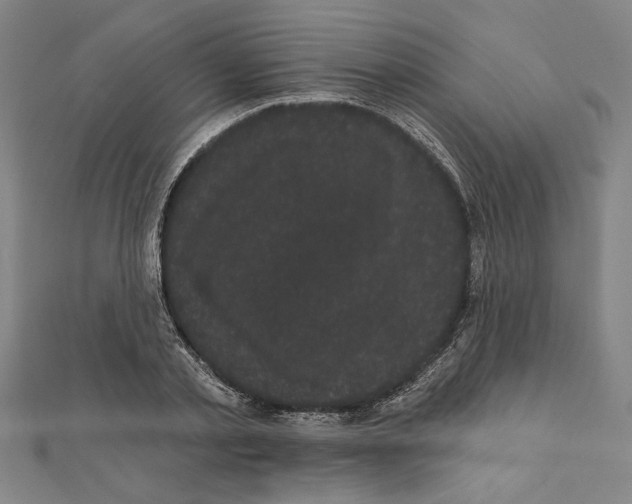 X0000111460789200908241318