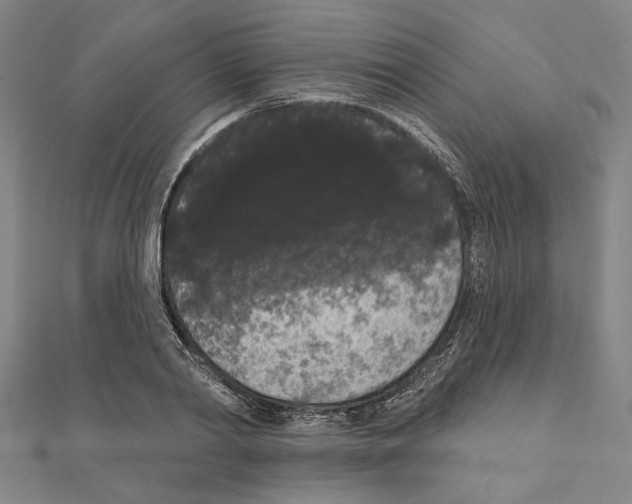 X0000111460790200908241318
