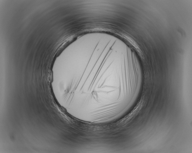 X0000111460793200908241318