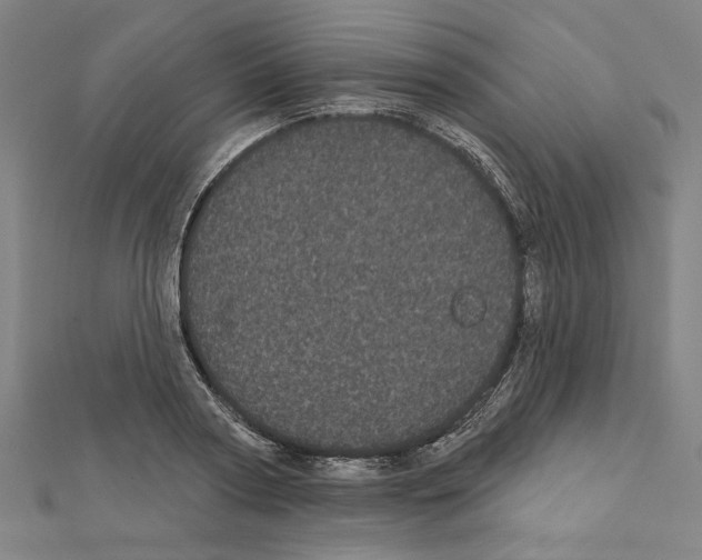 X0000111460794200908241318