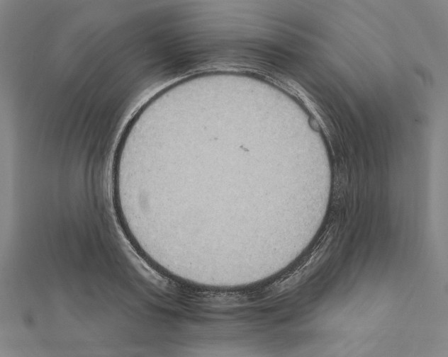 X0000111460795200908241318
