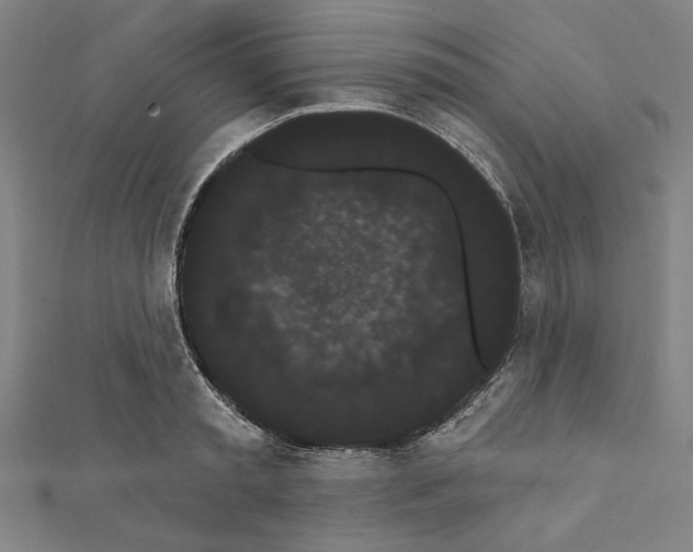 X0000111460797200908241318