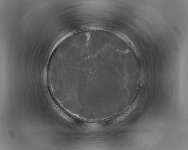 X0000111460798200908241318