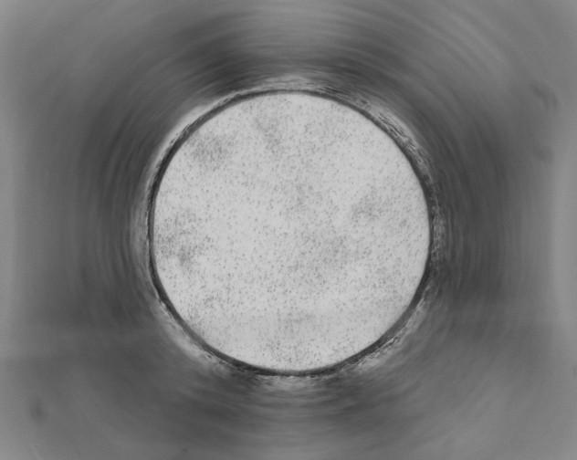 X0000111460800200908241318