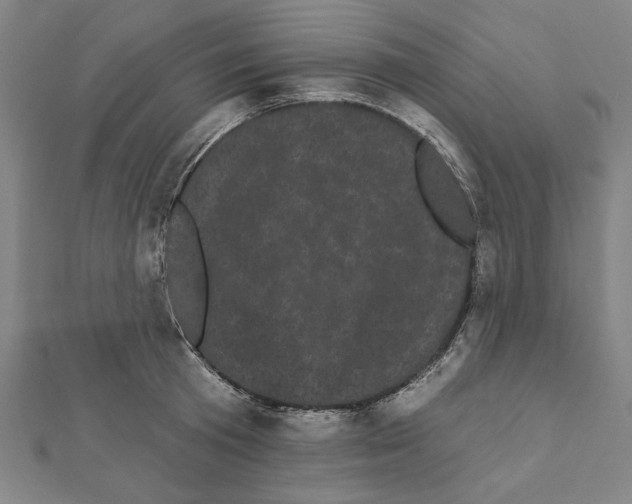 X0000111460801200908241318