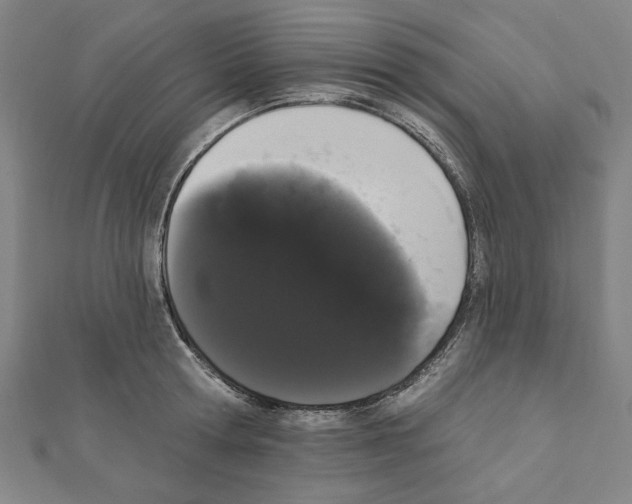 X0000111460802200908241318