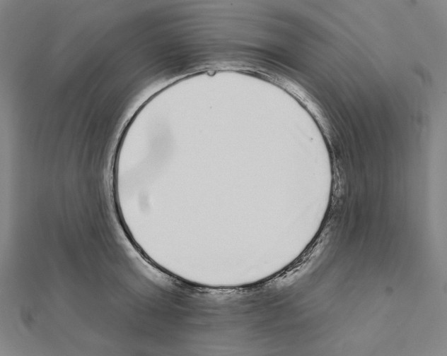 X0000111460803200908241318
