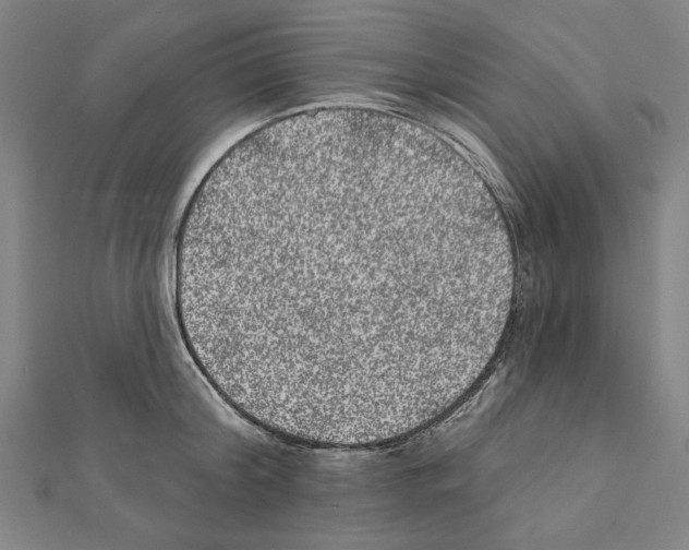 X0000111460804200908241318