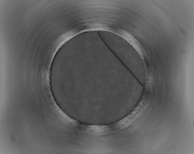 X0000111460805200908241318