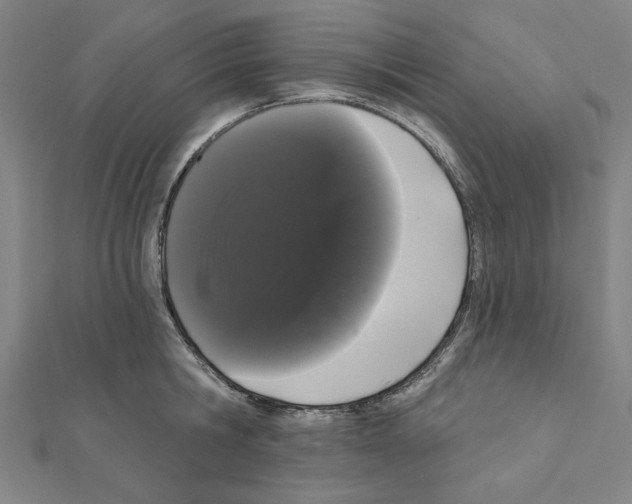 X0000111460806200908241318
